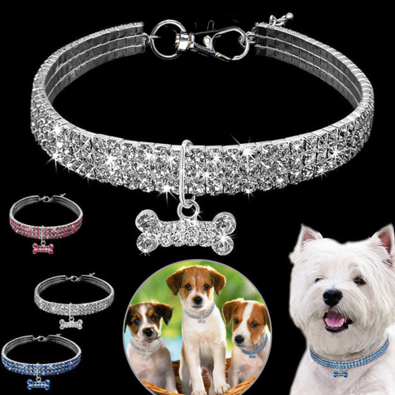 Collier De Chien En Cristal Mignon