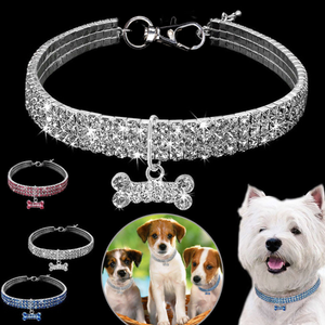 Collier De Chien En Cristal Mignon