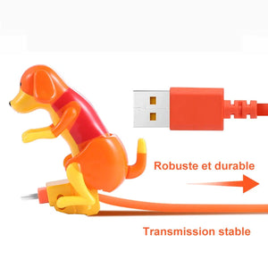 🔥Câble de Charge Rapide Chien à Bosse Drôle🔥
