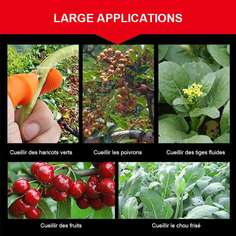 Couteau à Pouce pour Cueillir Légumes et Fruits - ciaovie