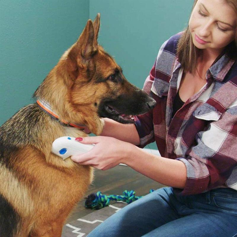 Ciaovie Dissolvant Électrique Pour Animaux Domestiques - ciaovie