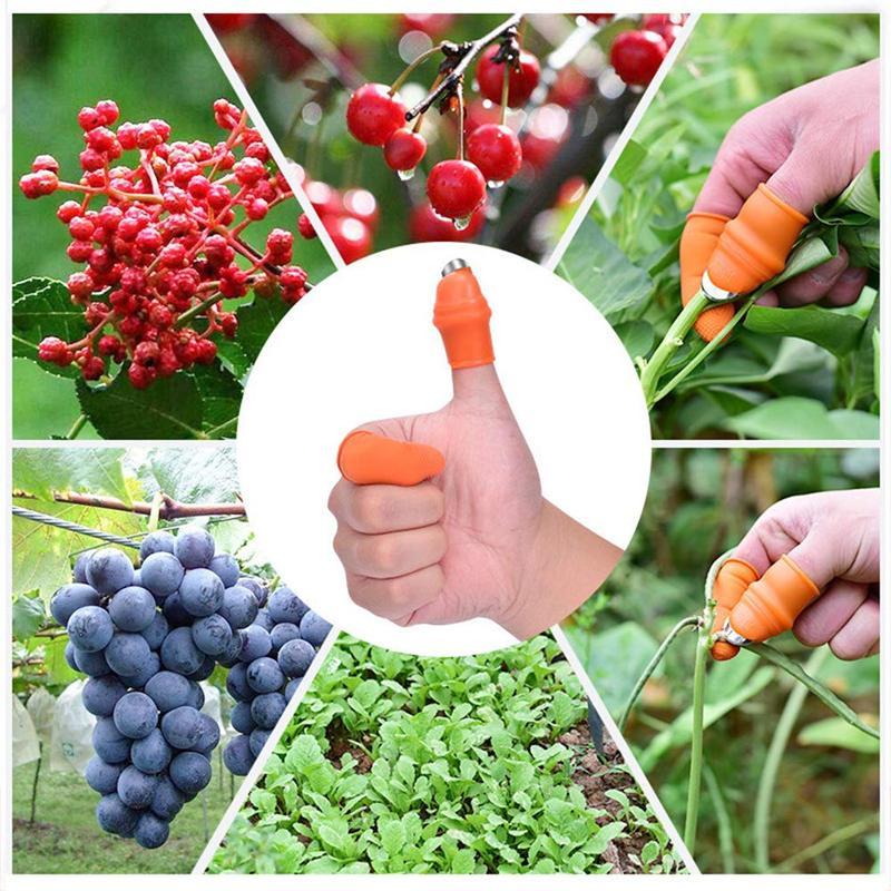 Couteau à Pouce pour Cueillir Légumes et Fruits - ciaovie